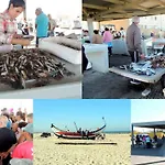 Porto Terrace Espinho (Aveiro)