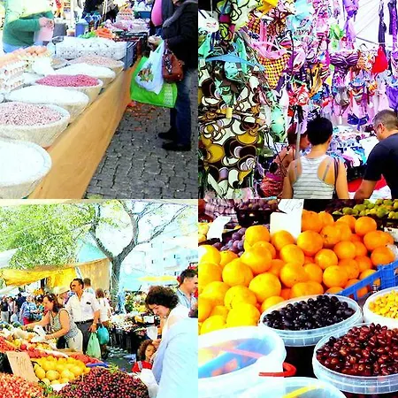 아파트 Porto Terrace *