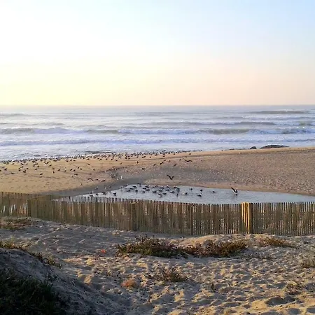 Porto Terrace 아파트 에스피뇨