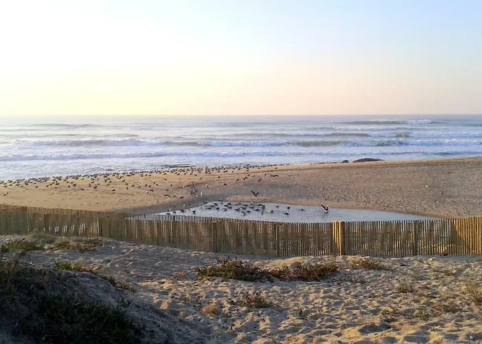 Porto Terrace Апартаменты Эшпинью